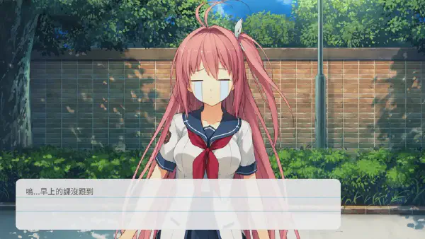 程式競賽題目出現《魔法少女小圓》